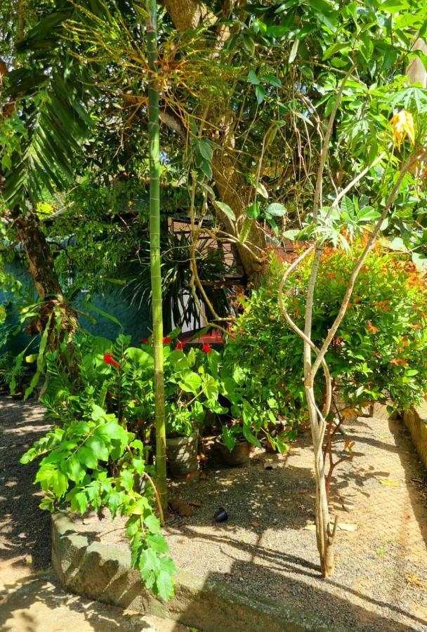 Helena Holiday Cottage Dikwella Bagian luar foto